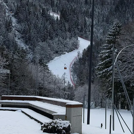 Garibaldi, *